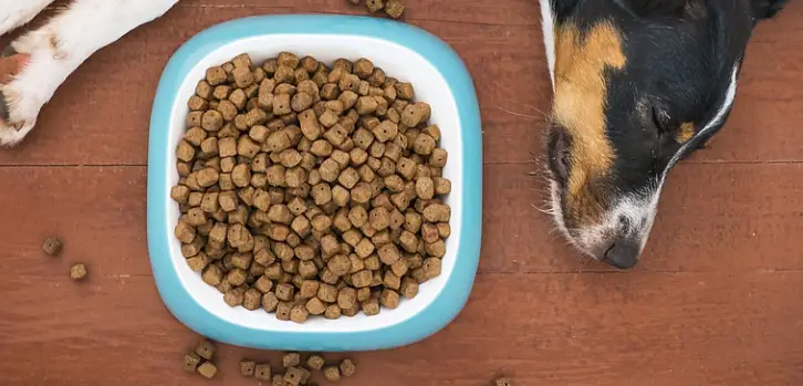 Canidae vs Orijen: Which is The Better Pet Food Brand?