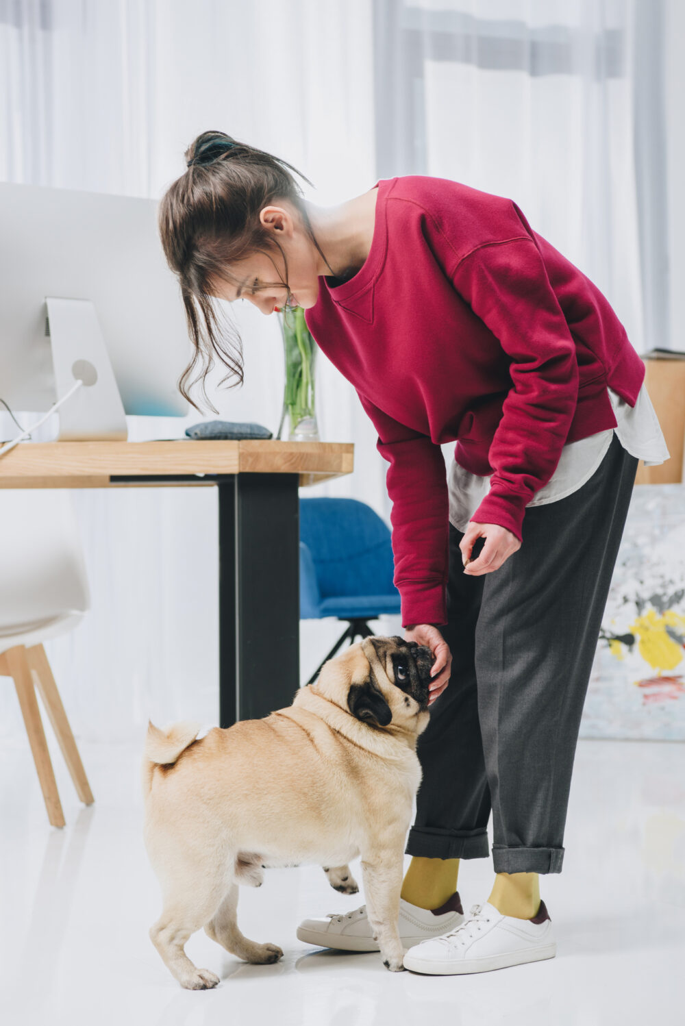 Why Is My Dog Whining After Teeth Cleaning?