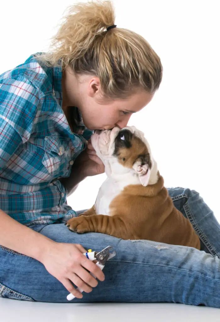 Are liver sausages safe for dogs?          