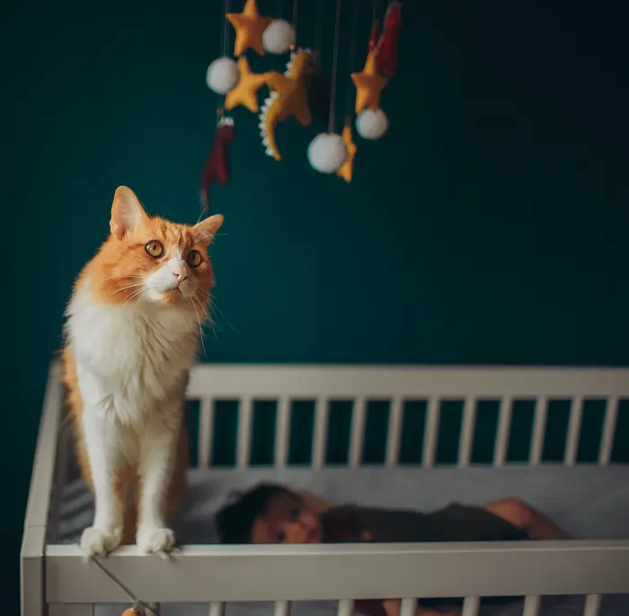 keep cats out of crib