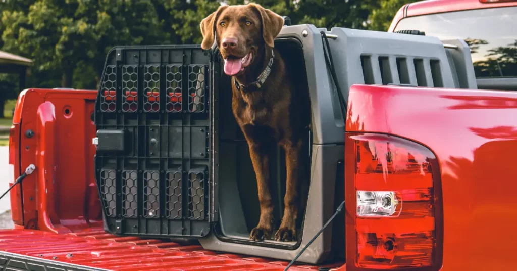 how to transport a dog in a truck bed