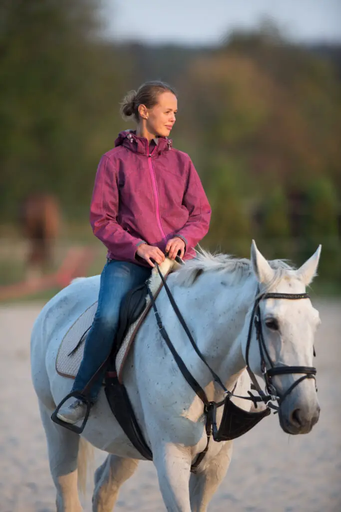 How To Stop a Horse Grazing While Riding