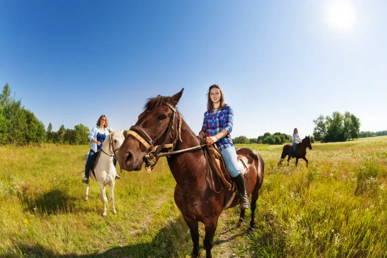 Horses Grazing While Riding? How To Prevent it