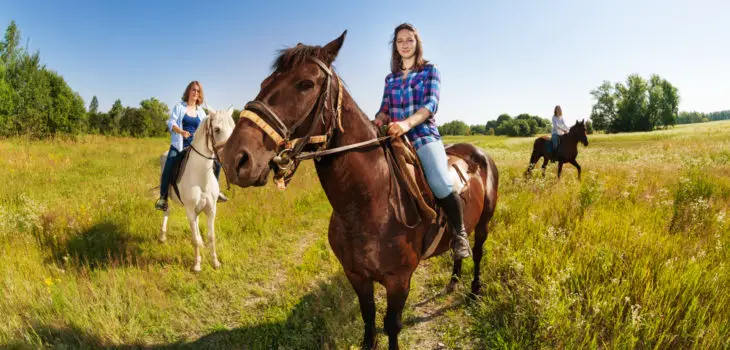 Horses Grazing While Riding