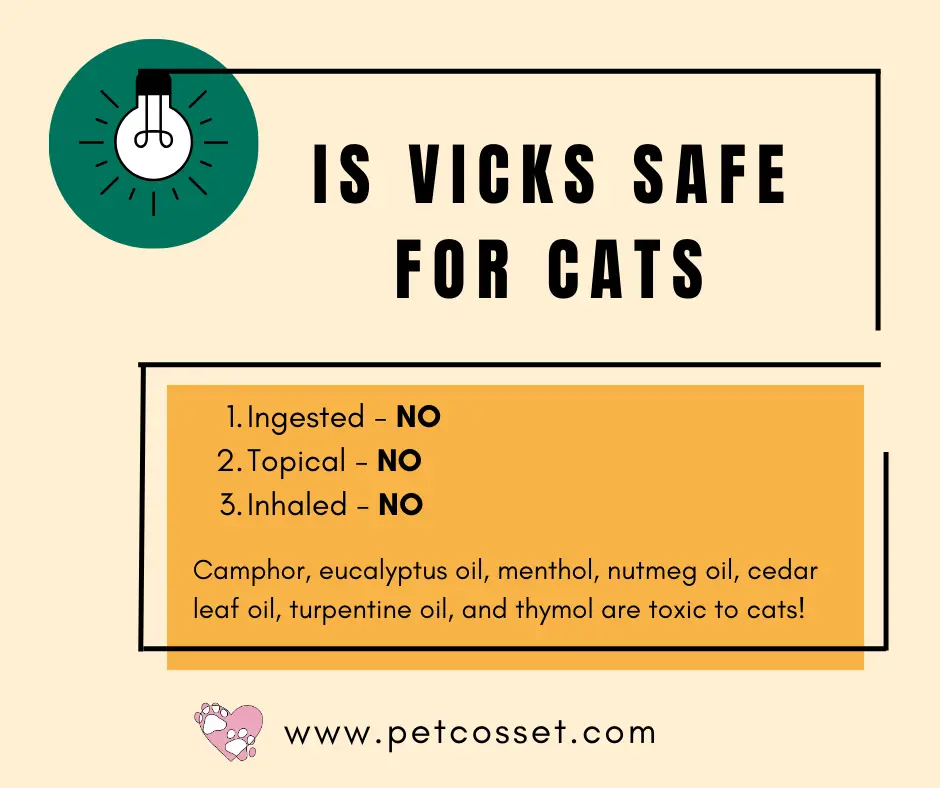 Is Vicks safe for cats
