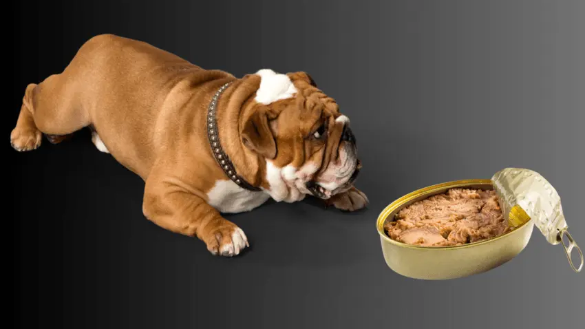 Is canned chicken breast safe for dogs