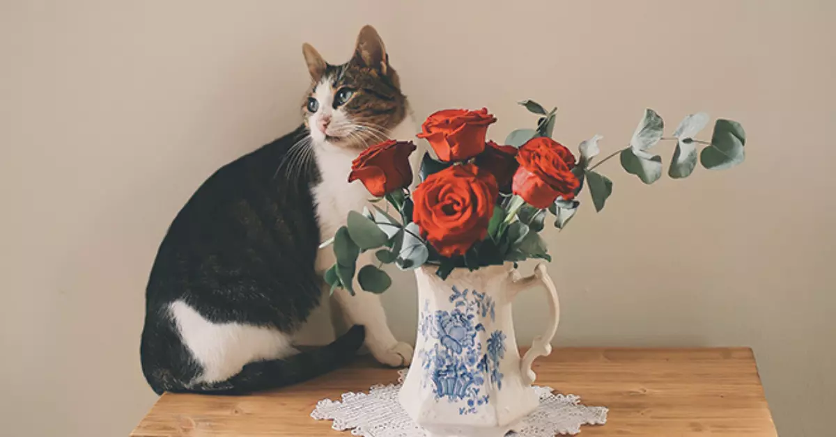 why are cats attracted to roses