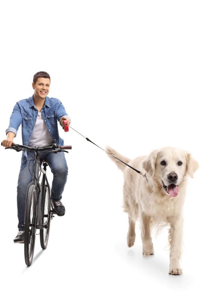 How to retrieve a dog off leash