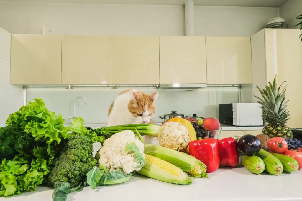 Are The Green Bean Leaves Toxic To Cats