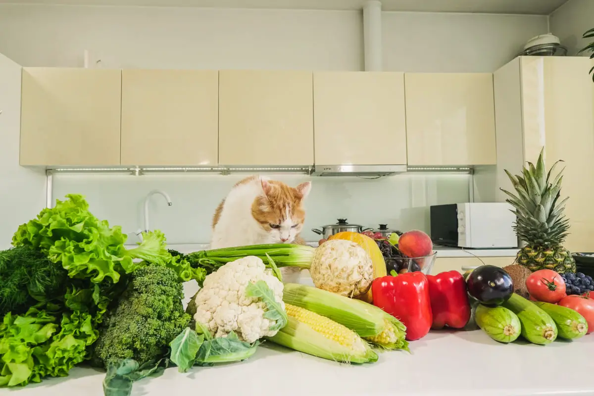 Can Cats Eat Green Beans? Is it Nutritious for Felines?