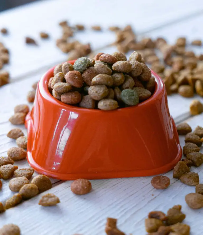 Is Your Cat Scratching Head Until it Bleeds? PetCosset